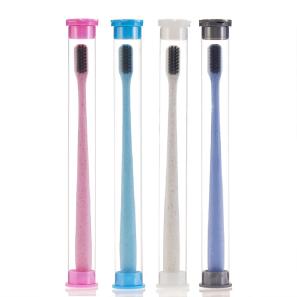 Disposable Toothbrush