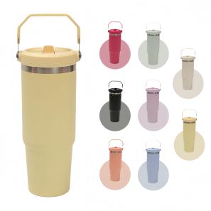 30oz Insulated Water Bottle with Carry Handle