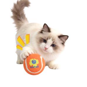 Pet Tennis Ball