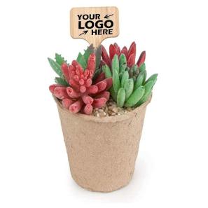 Wooden Plant Labels