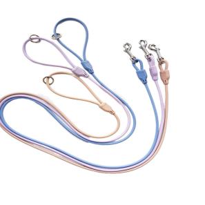 Rubber-Coated Pet Leash