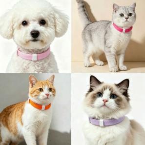  Elastic Pet Collar