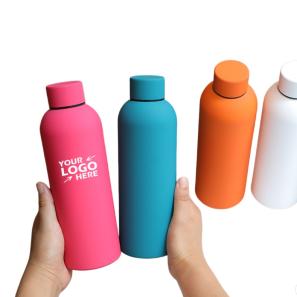 Insulated Water Bottle